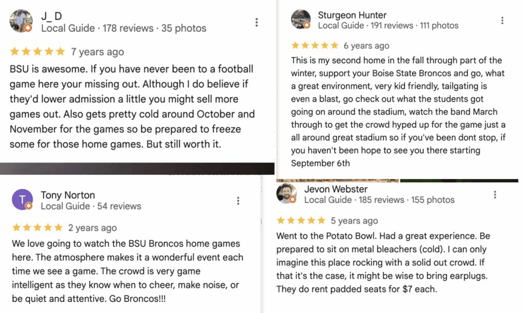 Google Business Reviews